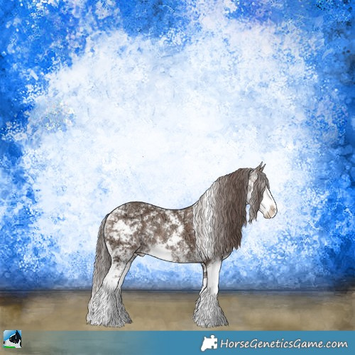 Horse Color:Classic Champagne Ice Sabino Rabicano 