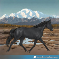 Horse Color:Black Frame 