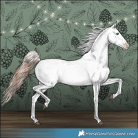 Horse Color:Liver Chestnut Frame