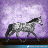 Horse Color:Black Ice 