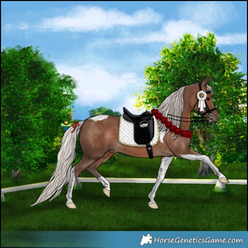 Horse Color:Silver Black Tobiano 