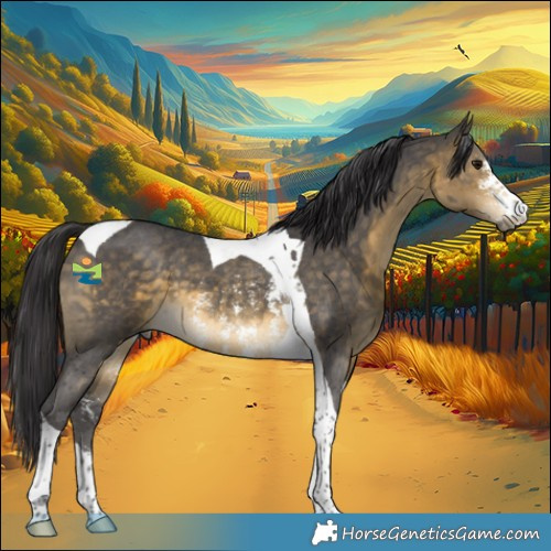 Horse Color:Buckskin Sabino Tobiano 