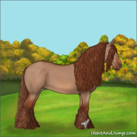 Horse Color:Red Dun 