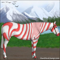 Horse Color:Liver Chestnut Frame Leopard 
