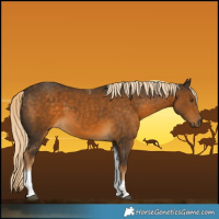 Horse Color:Chocolate Palomino Tobiano 