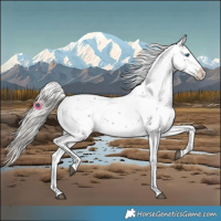 Horse Color:Silver Brown Frame 
