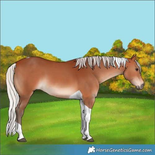 Horse Color:Silver Bay Tobiano 