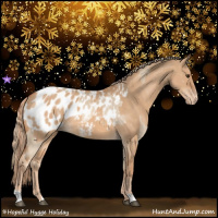 Horse Color:Red Dun Appaloosa  and Red Dun Appaloosa 