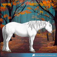 Horse Color:Black Frame 