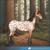 Horse Color:Bay Near Leopard