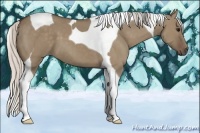 Horse Color:Silver Grullo Tobiano 