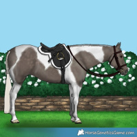 Horse Color:Silver Black Tobiano