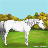 Horse Color:Black Frame 
