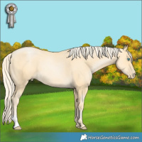 Horse Color:Palomino Pearl