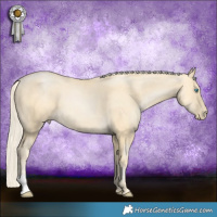 Horse Color:Palomino Pearl