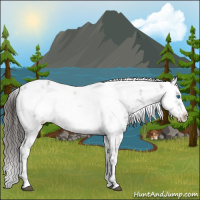 Horse Color:Liver Chestnut Frame 