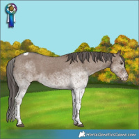 Horse Color:White Spotted Liver Red Dun Tobiano Varnish 