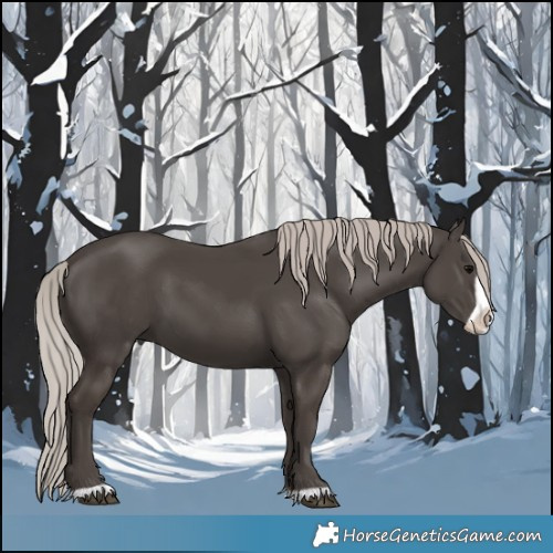 Horse Color:Silver Black Frame 
