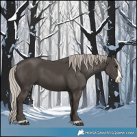 Horse Color:Silver Black Frame 