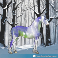 Horse Color:Watercolor Silver Brown Sabino