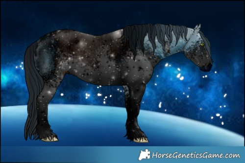 Horse Color:ERROR: UNKNOWN ANOMALY