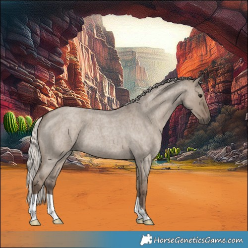 Horse Color:Silver Grullo Roan 