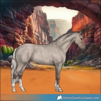 Horse Color:Silver Grullo Roan