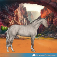 Horse Color:Silver Grullo Roan 
