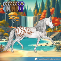 Horse Color:Silver Bay Splash Appaloosa 
