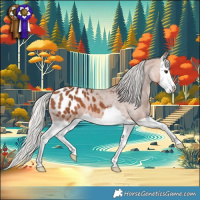 Horse Color:Silver Bay Splash Appaloosa 