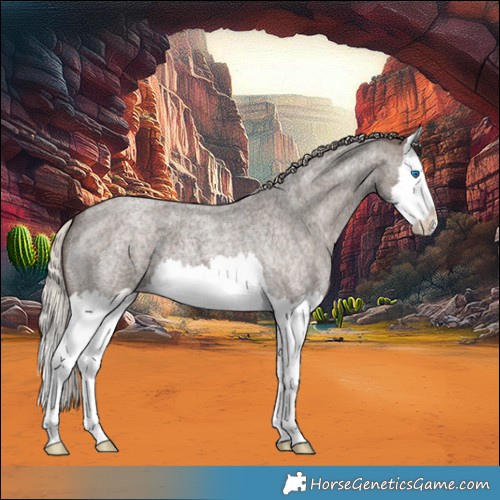Horse Color:Silver Blue Roan Splash 