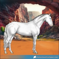 Horse Color:Silver Bay Ice Dun Splash Near Leopard 
