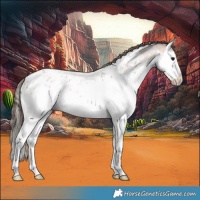 Horse Color:Bay Ice Roan Splash Near Leopard 
