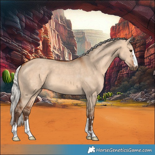 Horse Color:Silver Bay Dun 