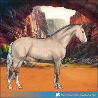 Horse Color:Silver Bay Dun 