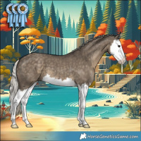 Horse Color:Silver Smoky Grullo Splash
