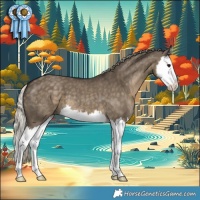 Horse Color:Silver Smoky Grullo Splash