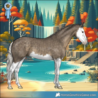 Horse Color:Silver Smoky Grullo Splash 