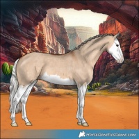Horse Color:Silver Bay Dun Splash 