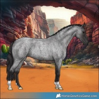 Horse Color:Smoky Blue Roan