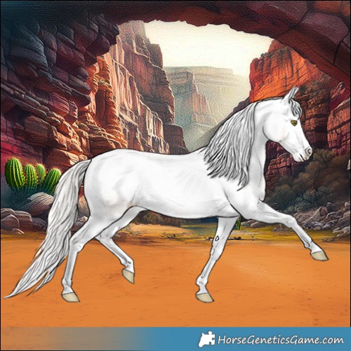 Horse Color:Silver Brown Pearl Splash Appaloosa 