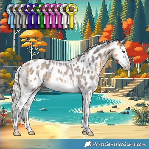 Horse Color:Silver Buckskin Ice Roan Splash Appaloosa 