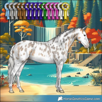 Horse Color:Silver Buckskin Ice Roan Splash Near Leopard 