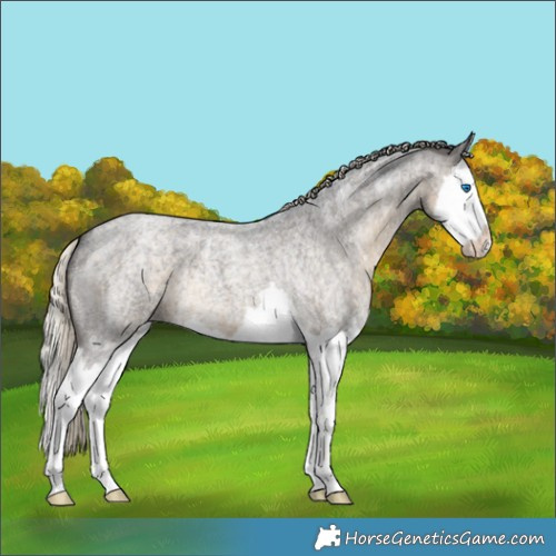 Horse Color:Silver Smoky Blue Ice Roan Splash 