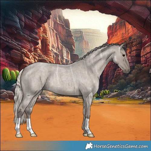 Horse Color:Silver Grullo Ice Roan 