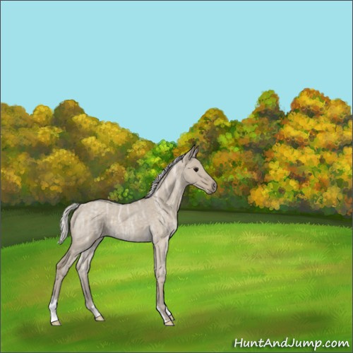 Horse Color:Silver Smoky Grullo Ice Roan 