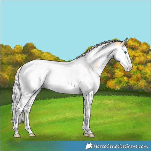Horse Color:Silver Buckskin Ice Pearl Dun Splash Tobiano Varnish 