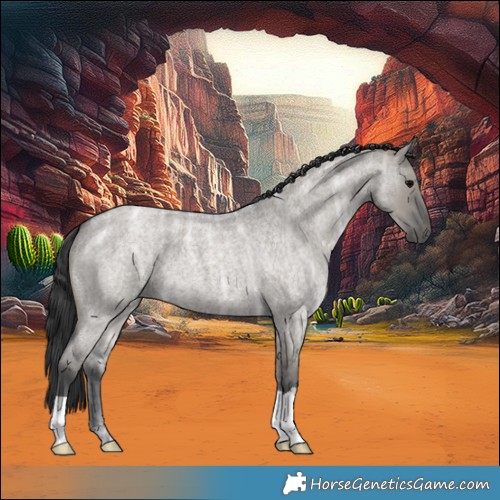 Horse Color:Grullo Ice Roan 
