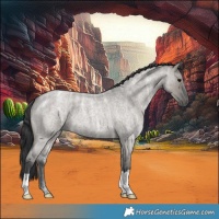 Horse Color:Grullo Ice Roan