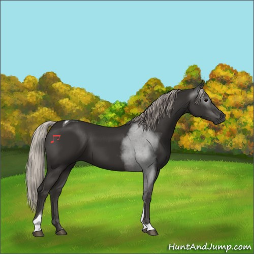 Horse Color:Gray Silver Black Tobiano 